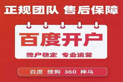 SEM广告投放中的数据监控与调整策略——以某品牌营销案例为例