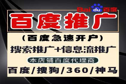 抖音信息流广告的投放策略与成功案例分析